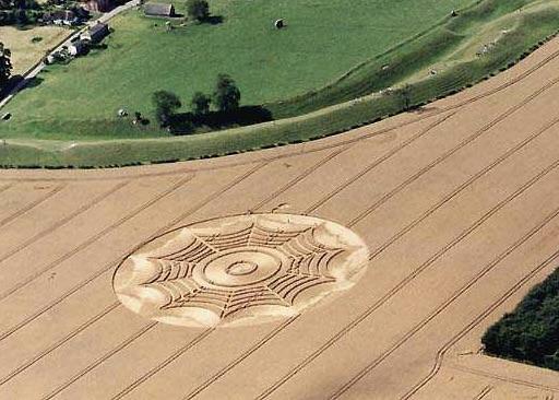 A crop circle in a field

Description automatically generated
